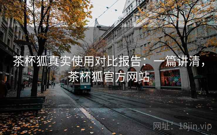 茶杯狐真实使用对比报告：一篇讲清，茶杯狐官方网站