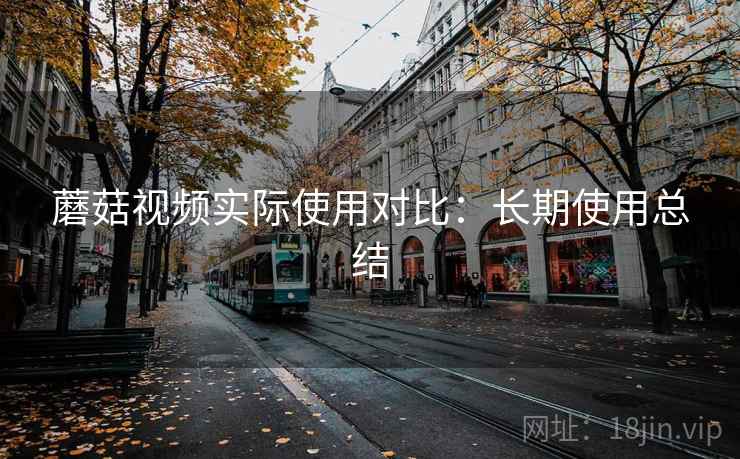 蘑菇视频实际使用对比：长期使用总结