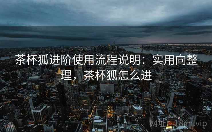 茶杯狐进阶使用流程说明：实用向整理，茶杯狐怎么进