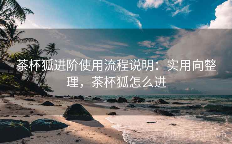 茶杯狐进阶使用流程说明:实用向整理,茶杯狐怎么进 茶杯狐进阶使用流程说明:实用向整理,茶杯狐怎么进