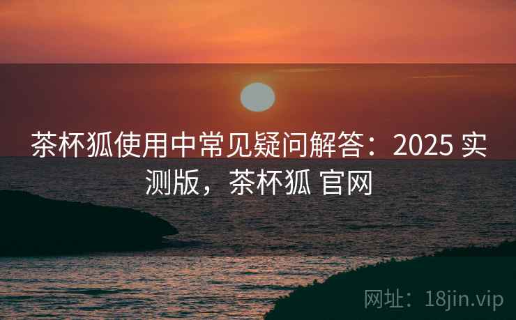 茶杯狐使用中常见疑问解答：2025 实测版，茶杯狐 官网