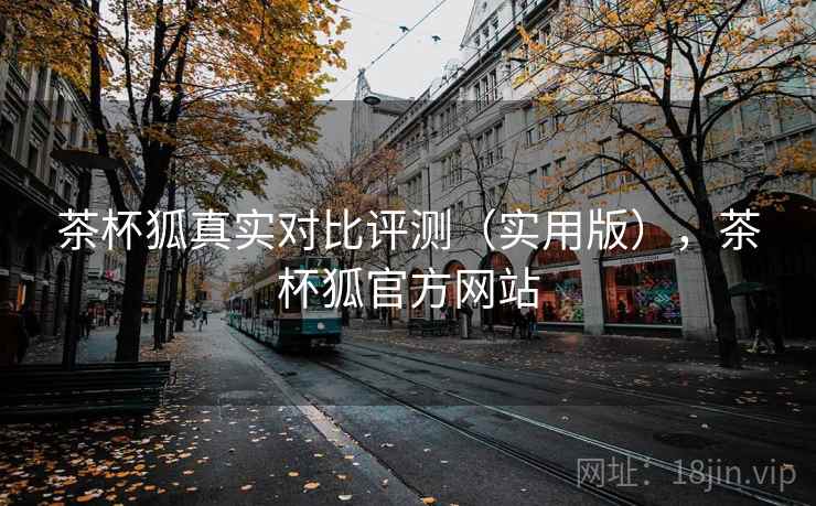 茶杯狐真实对比评测（实用版），茶杯狐官方网站